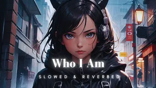 Alan Walker · Putri Ariani · Peder Elias - Who I Am // Slowed & Reverb + Rain and Thunder