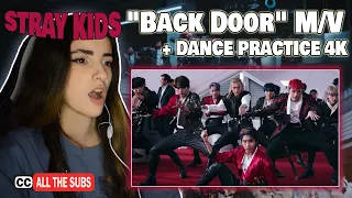 FIRST REACTION to Stray Kids "Back Door" M/V + Dance Practice