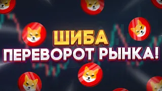 СРОЧНО! ТРИЛЛИОНЫ ШИБА БЫЛИ ТОЛЬКО ЧТО КУПЛЕНЫ КИТАМИ!