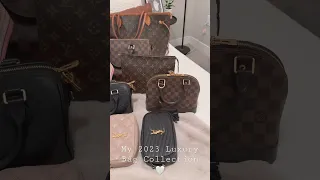 My 2023 Luxury Bag Collection 🤎 #lvoe #louisvuitton #lv #ysl #fendi #chanel