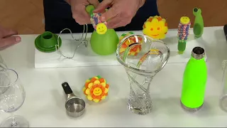 Scrub Daisy Dish Cleaning Soap Wand with Vase & Variety Scrubber Heads on QVC