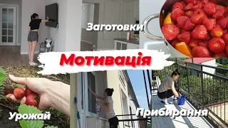 💫Мотивація на прибирання. Готую варення🍓 . Борюсь зі слимаками🌱