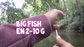 PÊCHE de la CARPE en canne LIGHT au pain