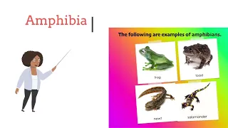 Explainer Lesson 23: Examples and Characteristics of Amphibians