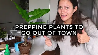 How I care for 300+ Houseplants! | Plant Care Routine Vlog