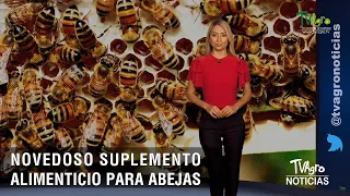 Novedoso suplemento alimenticio para abejas - TvAgro por Juan Gonzalo Angel Restrepo