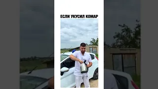 Укус комара