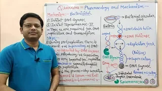 Chemotherapy of Antibiotics (Part-16) Fluoroquinolone (02) = Mechanism of Action |  Fluoroquinolone