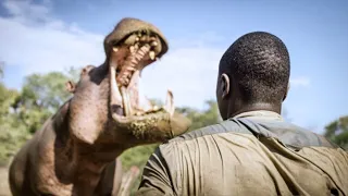 When Hippos Attack: East Africa