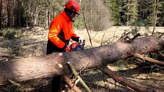 Best Hobby Chainsaw Husqvarna 130 !!! TOP CHAINSAW !!!