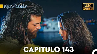 Pájaro Soñador Capítulo 143 (Doblado En Español 4K)