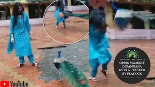 Ex-Bigg Boss Contestant Digangana Suryavanshi Attacked By Peacock, Fans Can’t Stop Laughing...!