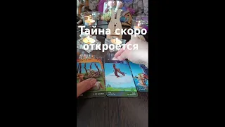 💥⁉️🧭🧳🎁тайна скоро откроется #таро #предсказаниябудущего #таролог #гадание