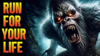 Solo Camping Bigfoot Encounter | A True Horror Story