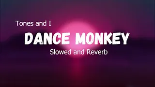 TONES AND I   DANCE MONKEY (Slowed and Reverb)