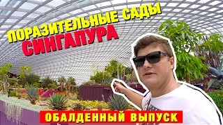 СИНГАПУР. ПОРАЗИТЕЛЬНЫЕ САДЫ! GARDENS by THE BAY