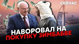 ❗️МАРТИНОВА: Лукашенко готує ВТЕЧУ до АФРИКИ. Вивіз УСЮ СІМ'Ю і РОЗПУСТИВ ОХОРОНУ