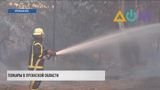 Пожары в Луганской области: более 125 очагов потушили за сутки