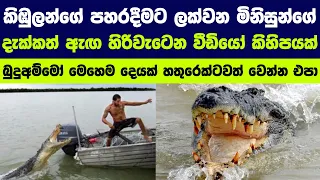 බිහිසුනු කිඹුලන් මිනිසුන්ට පහරදෙන අවස්ථා | Crocodile attacks caught on tape 🐊☠️