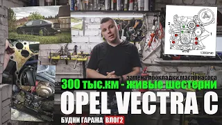 Opel Vectra C Z18XER - 300 тыс.км живые шестерни  - замена прокладки маслонасоса (будни - влог 2)