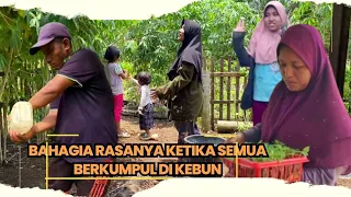 Bahagianya menyambut bulan suci ramadhan bersama keluarga di kebun