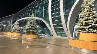 Прощай, Москва! Летим во Франкфурт. 6 ноября 2021/ Leaving Moscow for Frankfurt. November 6, 2021