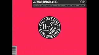 david guetta & martin solveig  thing for you remix