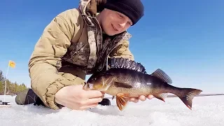 РЫБАЛКА НА ЖЕРЛИЦЫ в АПРЕЛЕ. ГОРБАТЫЙ ОКУНЬ и ЧЕРНАЯ ЩУКА.