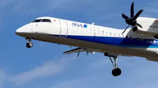 Itami Airport ● Close-up view of airplane landing scene [propeller plane]