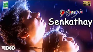 Senkathay Official Video | Full HD | Taj Mahal | A.R.Rahman | Bharathiraja | Vairamuthu | Manoj