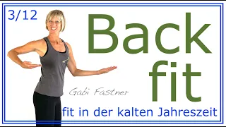 3/12 🌀38 min. Rücken-Fitness | ohne Geräte