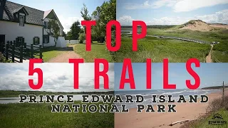 Top 5 Hiking Trails in Prince Edward Island National Park