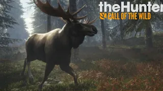 Bigfoot And Moose - The Hunter Call Of The Wild Ep4