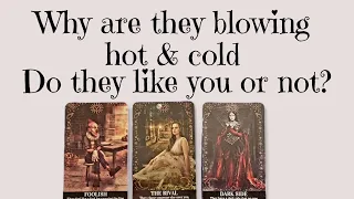 ❤️ Why are they blowing hot & cold? 💙 Do they like you or not? ✨️ pick a card tarot ✨️ timeless ✨️