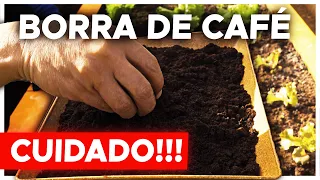 BORRA DE CAFÉ NA HORTA: CUIDADO! ASSISTA ANTES DE  UTILIZAR NO SOLO DA SUA HORTA...