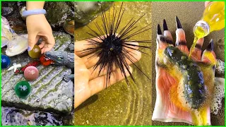 Catching Seafood 🐙🦀 Deep Sea Octopus (Catch Fish, Catch Shark, Sea Creatures) TikTok #29