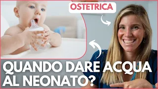 SI PUÒ DARE ACQUA AL NEONATO PRIMA DEI 6 MESI? TISANE e ACQUA ai NEONATI, SI O NO?