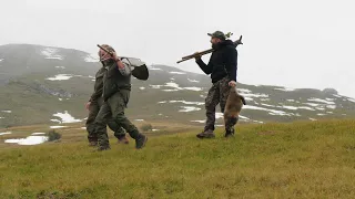 Dramatische Murmeljagd im Arlberggebiet- Der Film