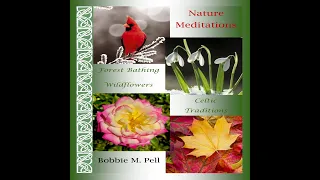 NATURE MEDITATIONS:  Forest Bathing, Wildflowers, and Celtic Traditions