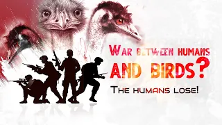 Epic battle: Humans vs Birds - The Emu War story