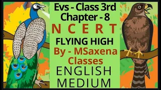 Flying High || Evs class 3 NCERT || EVS CHAPTER 8 || FOR CBSE SCHOOLS || ENGLISH MEDIUM