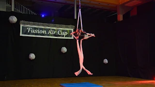 Олександра Зеленська. Повітряні полотна. Fusion Air Cup 2019.