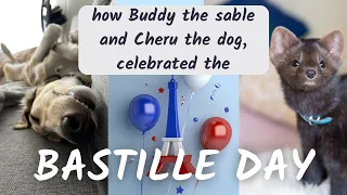 How Buddy the sable and Cheru the dog celebrated the day of Bastille