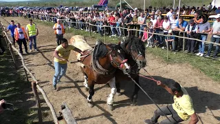 - ROBERT AMIĆ IZ KARLOVCA PRVAK SREDNJE U OKUČANIMA -