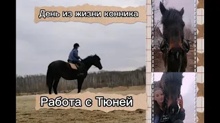 Групповое занятие🐴//Пробую галоп ?😏Конный спорт