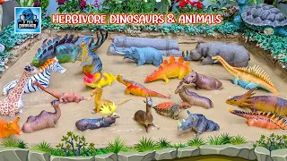 Muddy Herbivore Adventure: Dinosaurs & Animals Stuck in the Mud! | D for Dinosaur