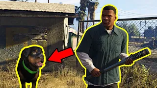 TRAINING CHOP TO BE A GOOD DOG! । GTA 5 । GAMEPLAY#1