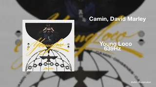 Camin - Young Loco ft. David Marley [639Hz]