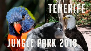 Tenerife Jungle Park 2018 4K