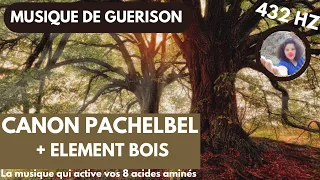 Canon de Pachelbel en 432 Hz : Harmonie du Bois et Musique de Guérison Puissante pour l'Âme !